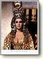 Buy the Cleopatra Poster